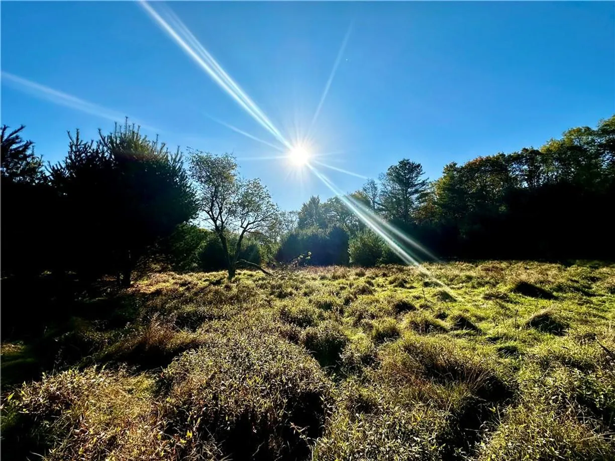 Hudson Valley Real Estate | View York Lake Road | Listing