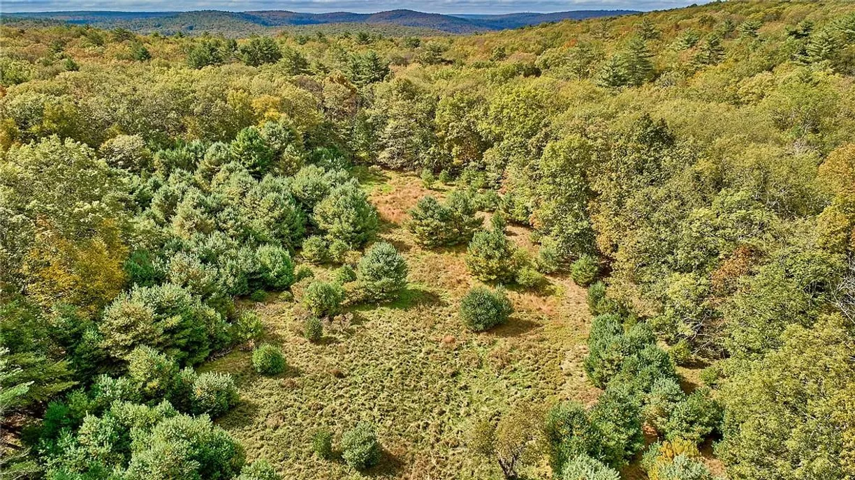 Hudson Valley Real Estate | View York Lake Road | Listing