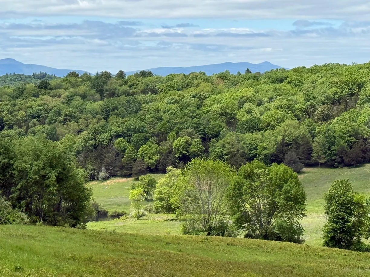 Hudson Valley Real Estate | View Woodward Hill,Stissng Mount, Hicks Hill, Route 199