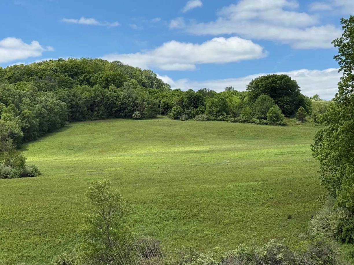 Hudson Valley Real Estate | View Woodward Hill,Stissng Mount, Hicks Hill, Route 199 | Listing