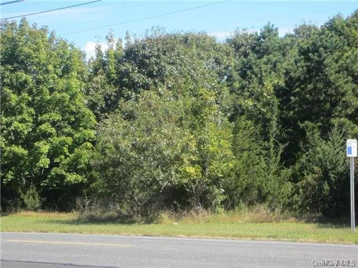 The Hamptons Real Estate | View 83 Montauk Highway | Listing