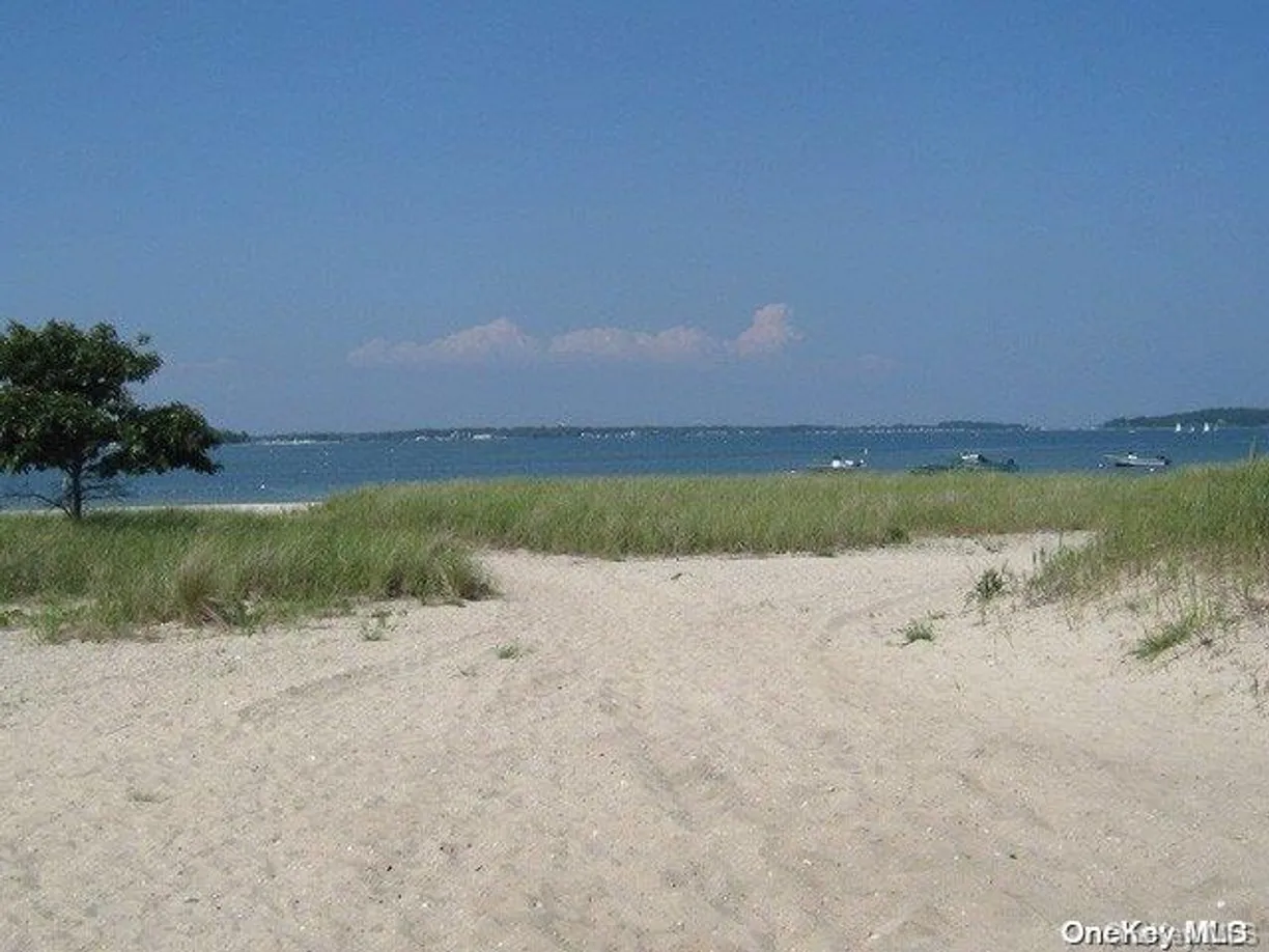 The Hamptons Real Estate | View 470 Goose Creek Lane | Listing
