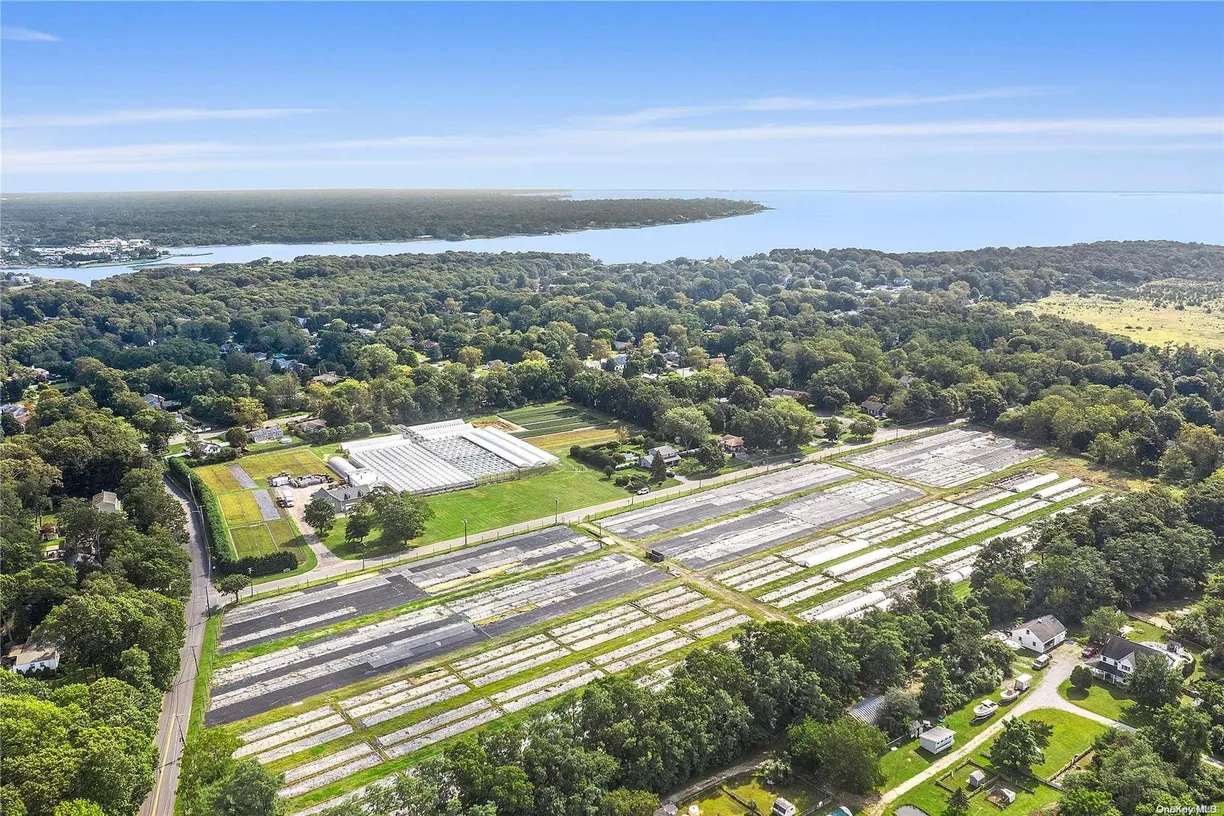 The Hamptons Real Estate | View Evergreen Avenue