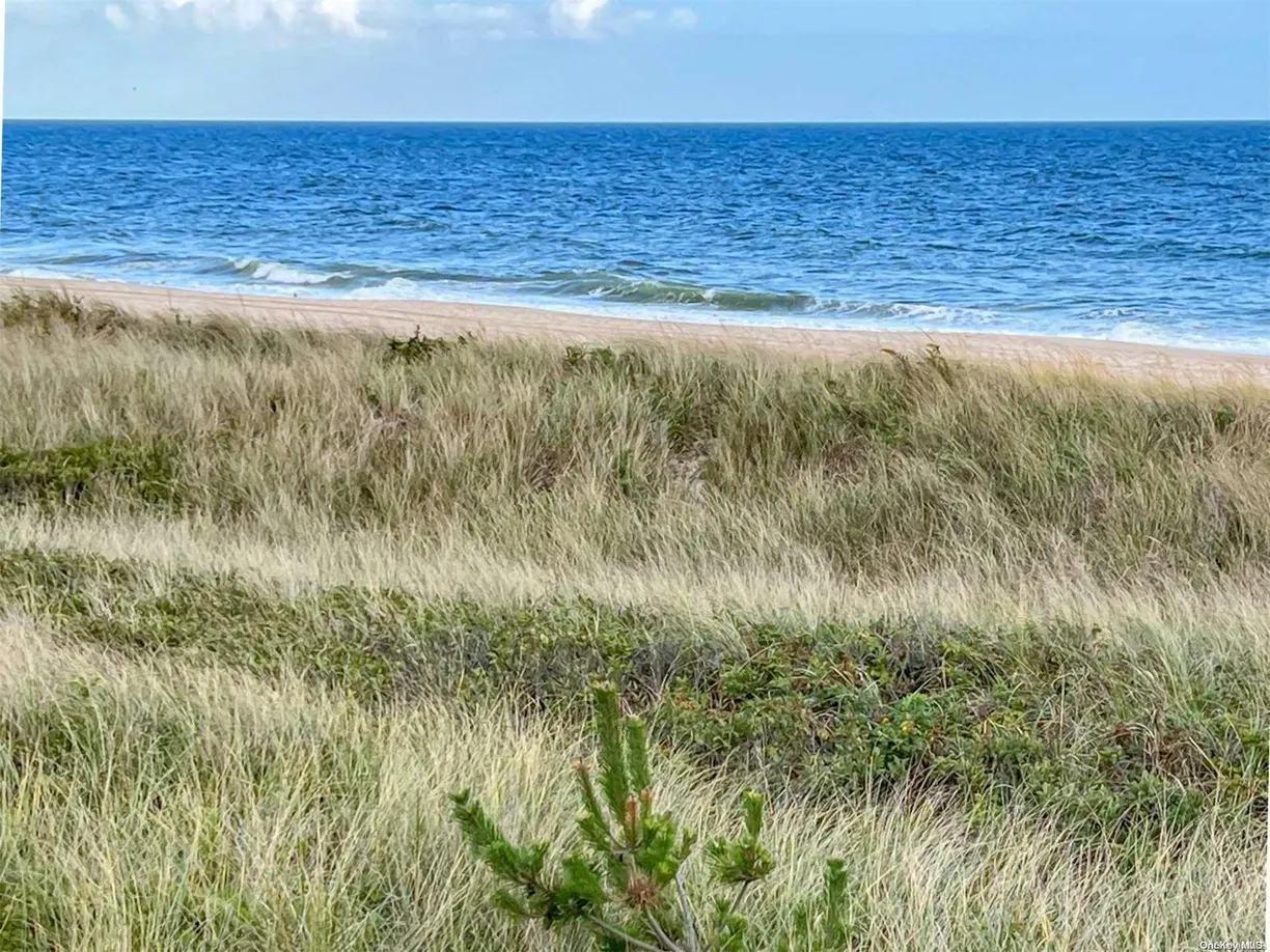 The Hamptons Real Estate | View 2004 Montauk Highway, 1817 | 1 Bed, 1 Bath