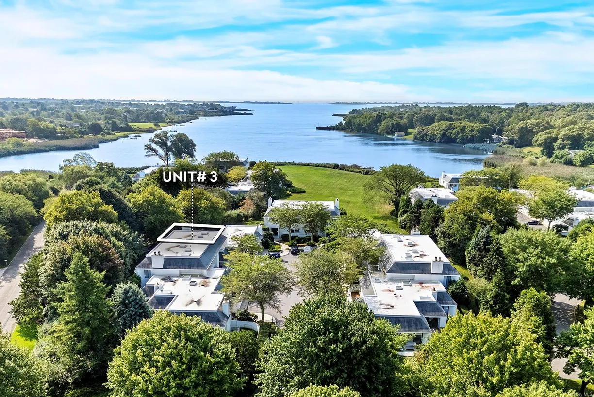 The Hamptons Real Estate | View 3 Reed Pond Court, 3 | Listing