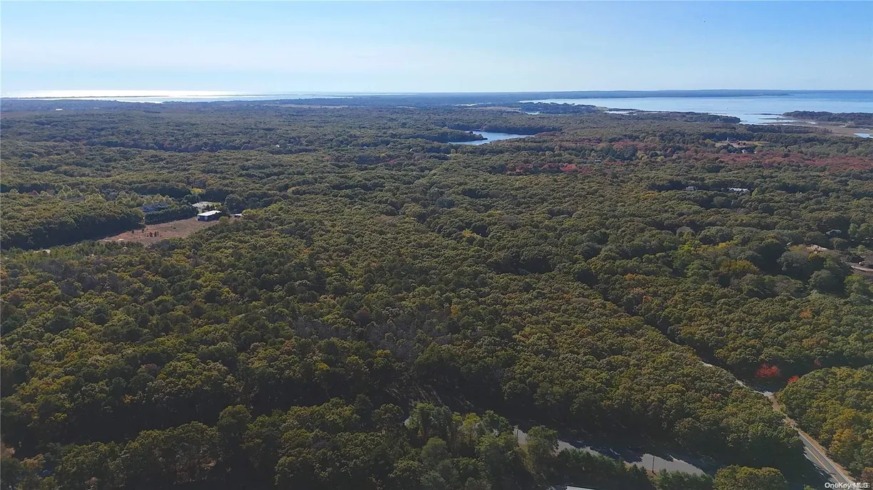 The Hamptons Real Estate | View 1240 Majors Path | Listing