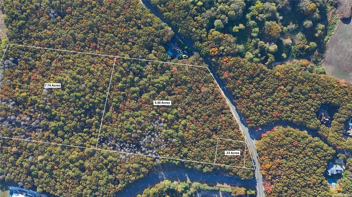 The Hamptons Real Estate | View 1240 Majors Path | Listing