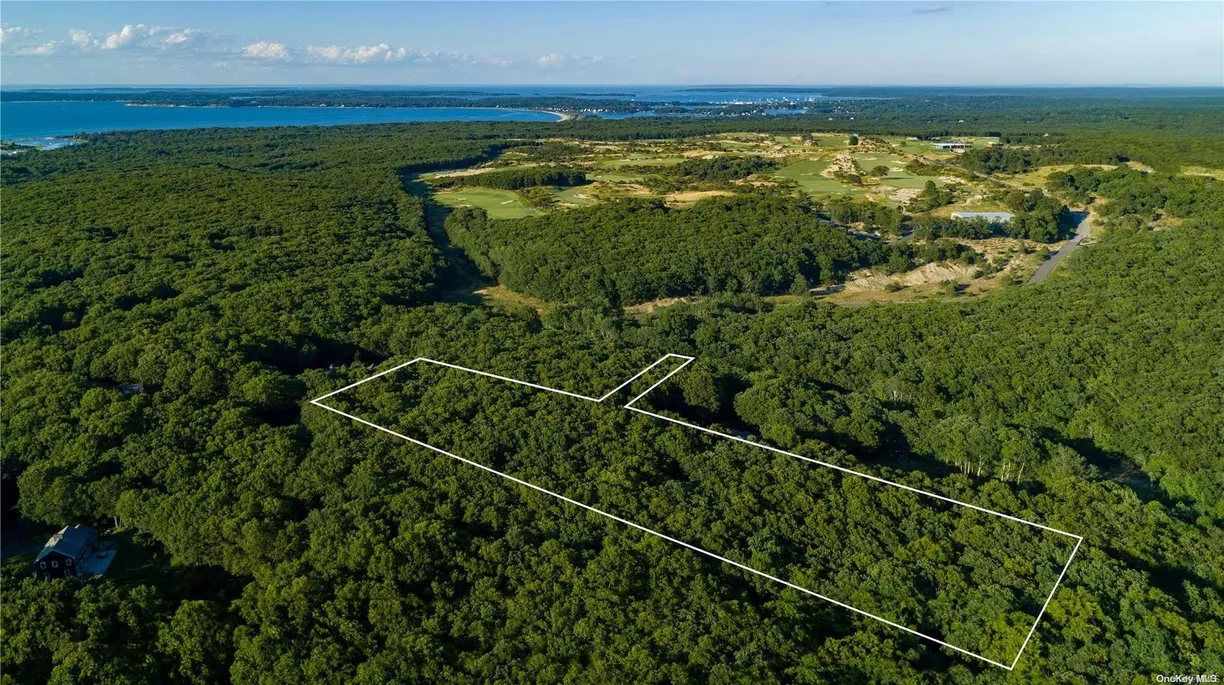 The Hamptons Real Estate | View 1193 Millstone Road