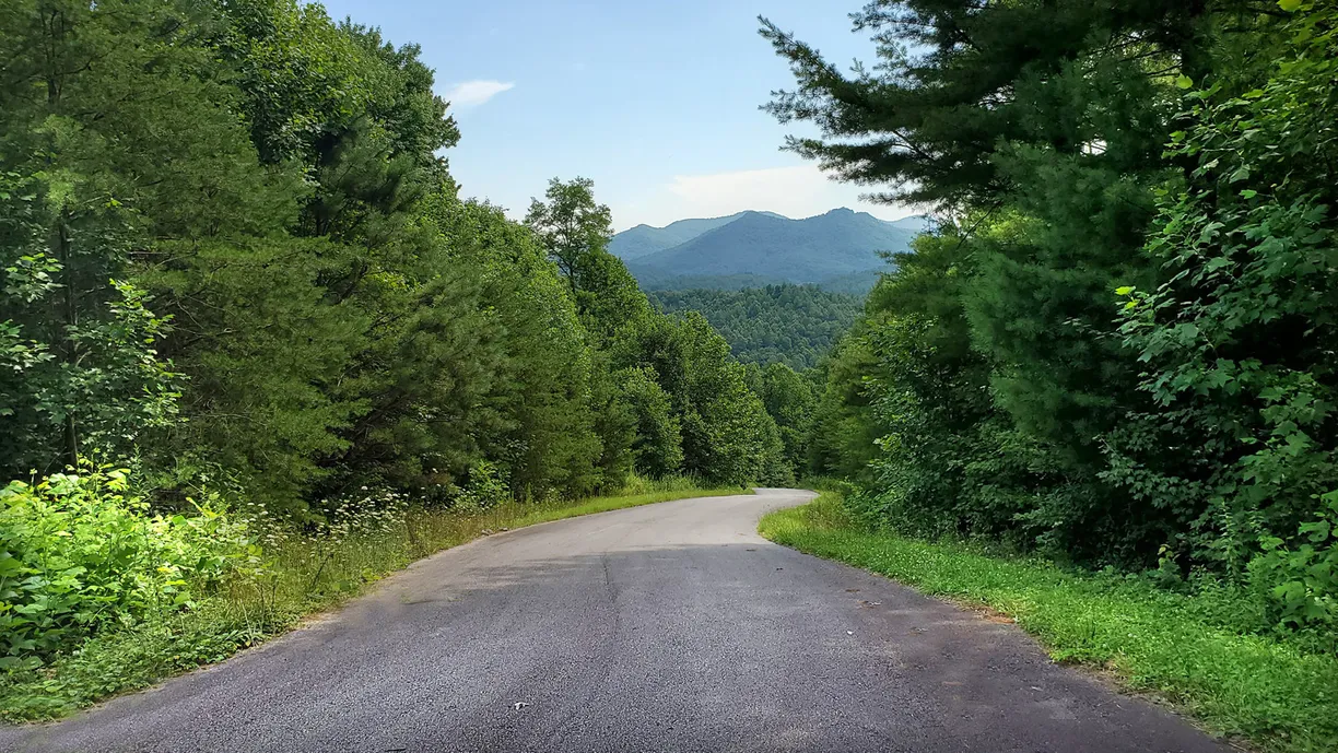 Athens, GA Real Estate | View 207 Shake Hollow Drive | Listing