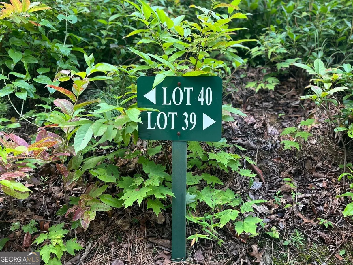 Athens, GA Real Estate | View LOT 40 Anderson Drive