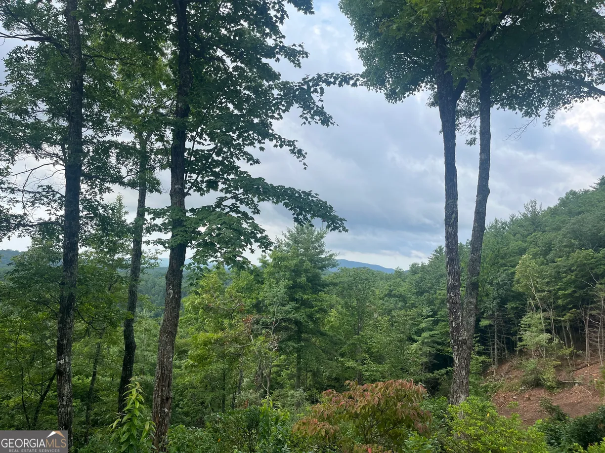 Athens, GA Real Estate | View LOT 40 Anderson Drive | Listing