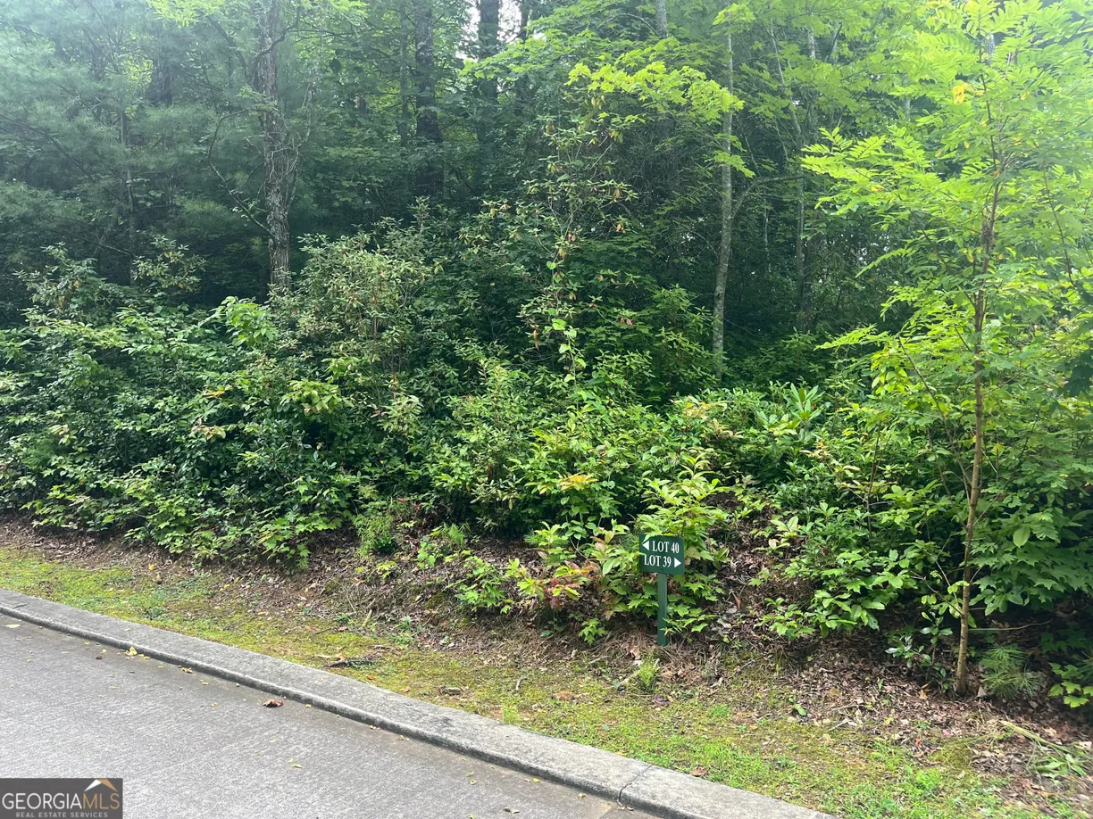 Athens, GA Real Estate | View LOT 40 Anderson Drive | Listing