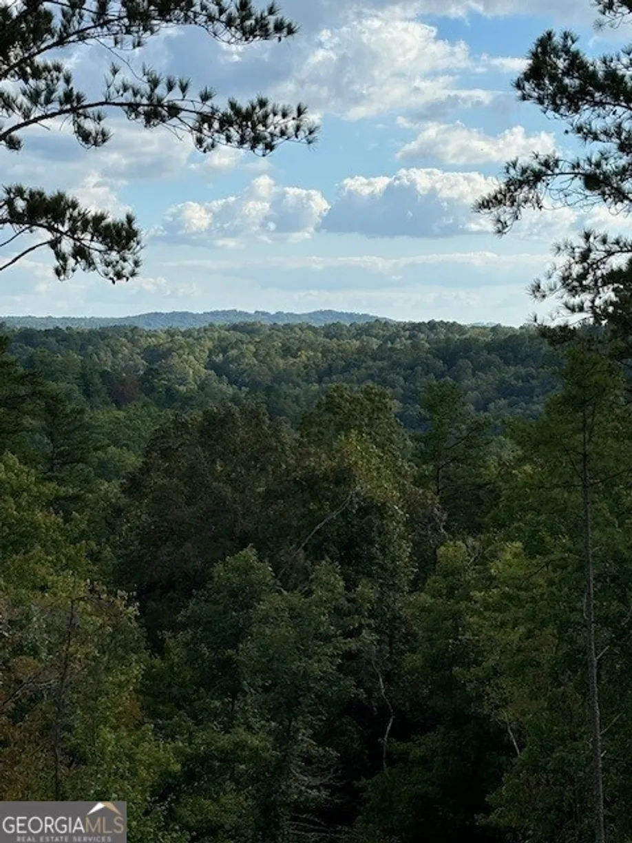 Athens, GA Real Estate | View LOT 62 High River Landing