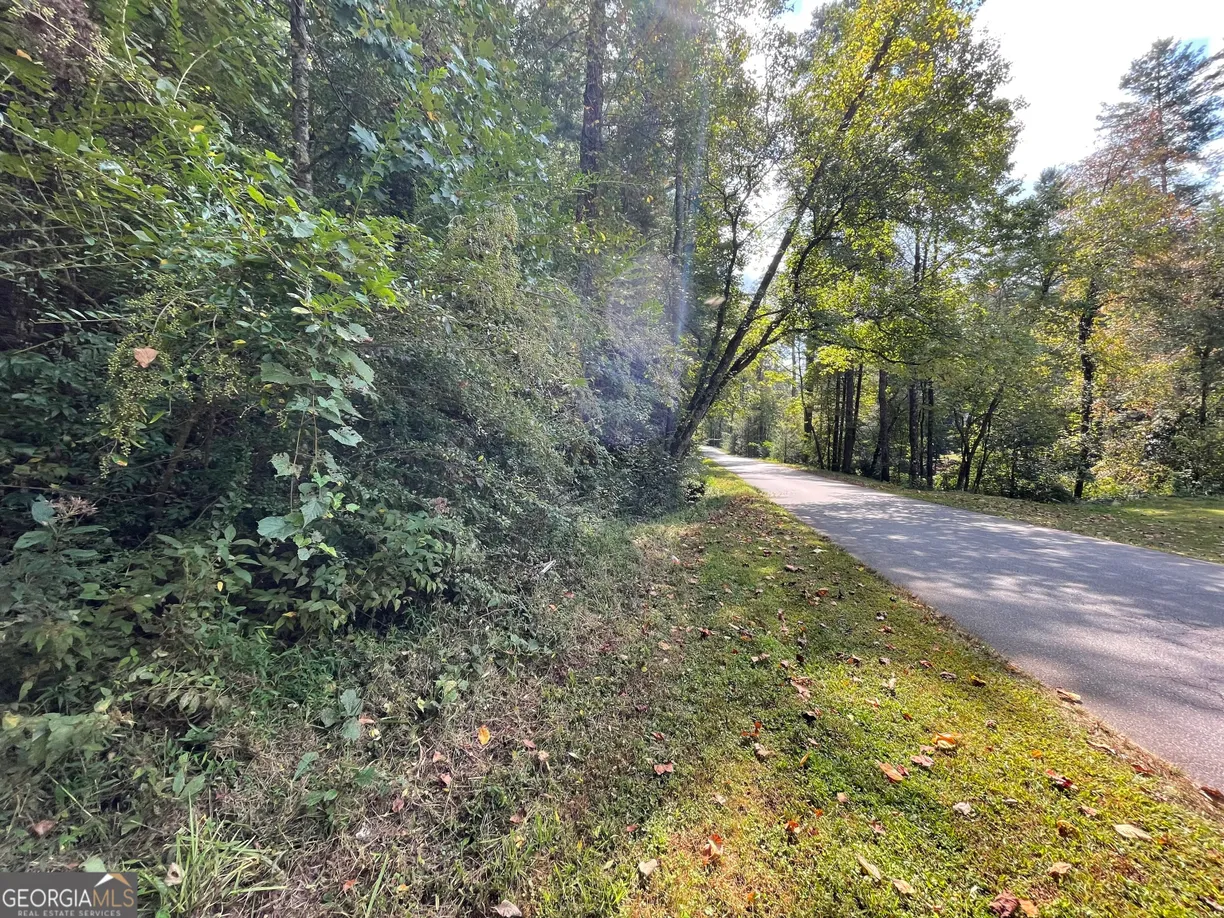 Athens, GA Real Estate | View 0 West Wolf Creek | Listing
