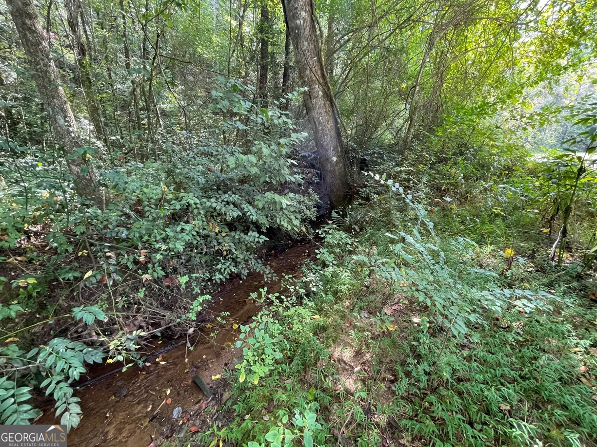 Athens, GA Real Estate | View 0 West Wolf Creek
