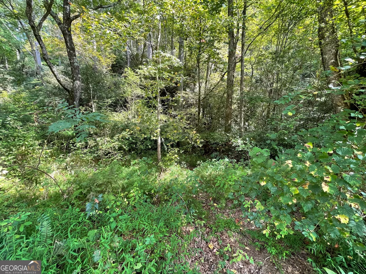 Athens, GA Real Estate | View 0 West Wolf Creek | Listing