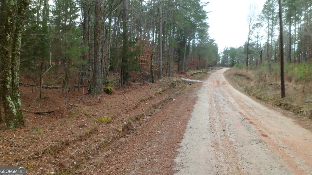 Athens, GA Real Estate | View 0 HENRY MOON Road