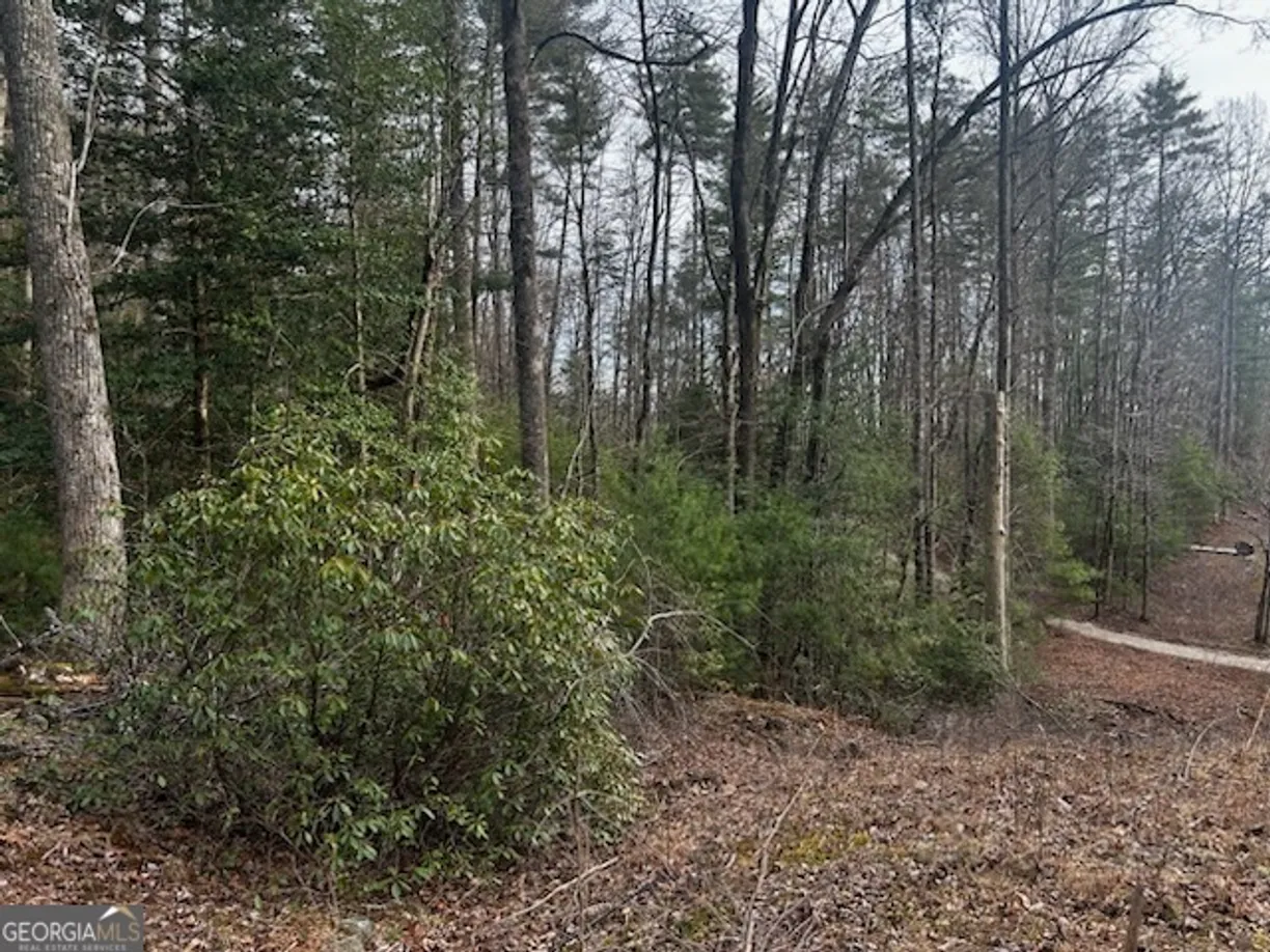 Athens, GA Real Estate | View 0 Corinth Church Road