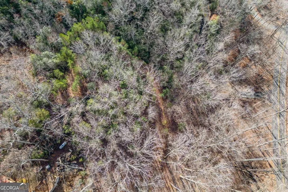 Athens, GA Real Estate | View LOT 7 Squirrel Hunting Road, 7 | Listing