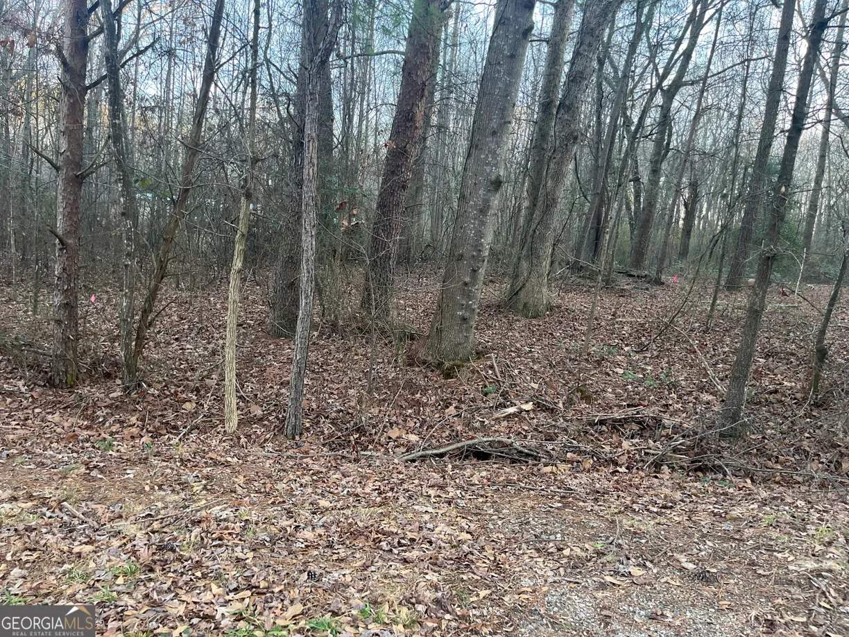 Athens, GA Real Estate | View 120 Tony Drive, 19