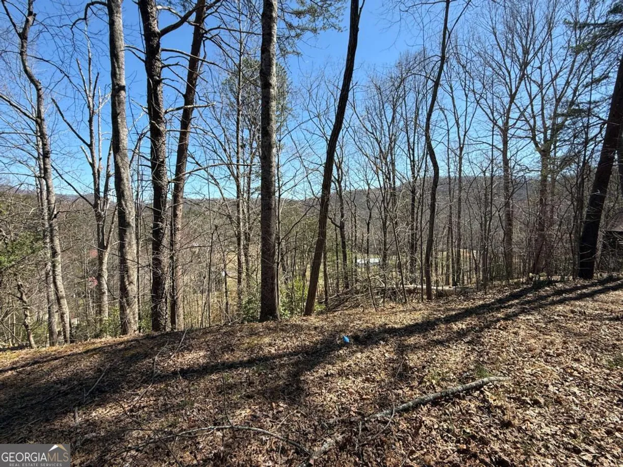 Athens, GA Real Estate | View 1035 Sky Hawk Mountain Drive
