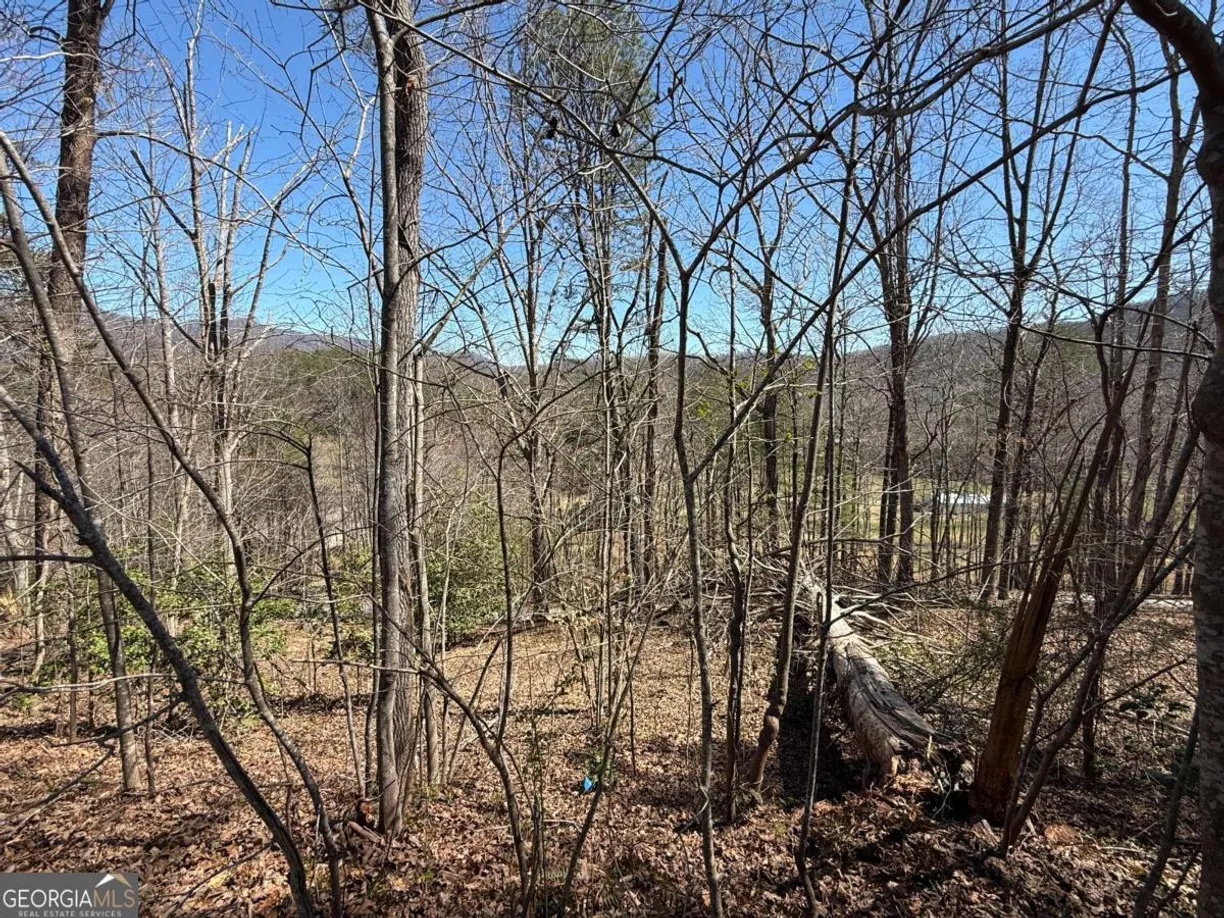 Athens, GA Real Estate | View 1035 Sky Hawk Mountain Drive | Listing