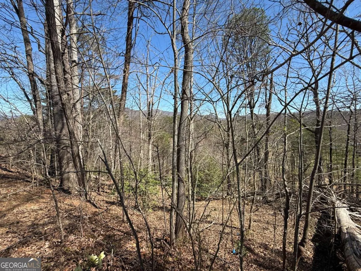 Athens, GA Real Estate | View 1035 Sky Hawk Mountain Drive | Listing