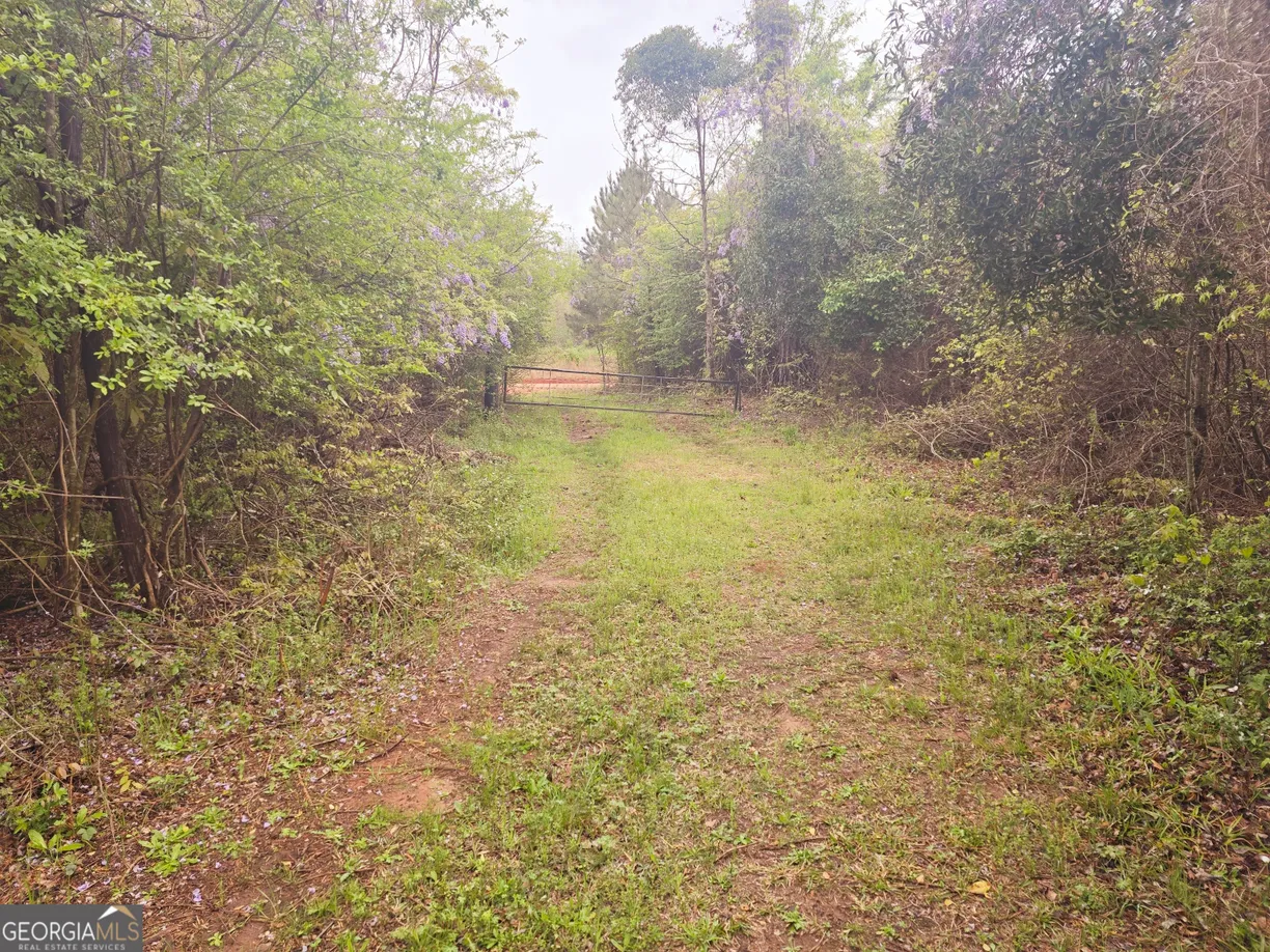 Athens, GA Real Estate | View 0 S Indian Trail Road | Listing