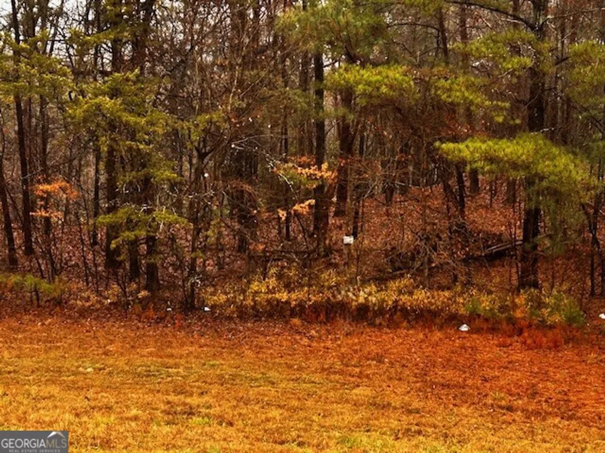 0 Talona Road, Ellijay, GA 30540 Property for sale