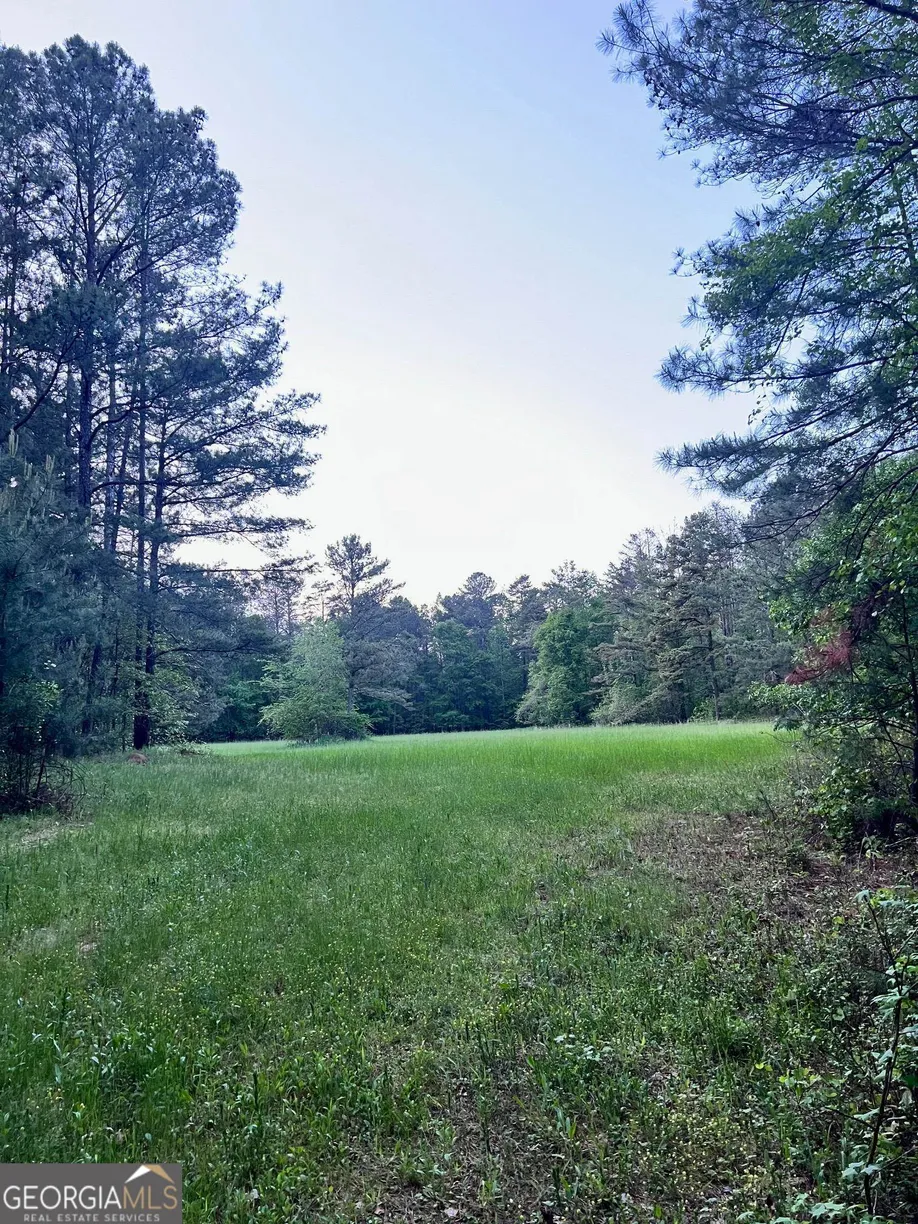 Athens, GA Real Estate | View 0 J T Elder Road