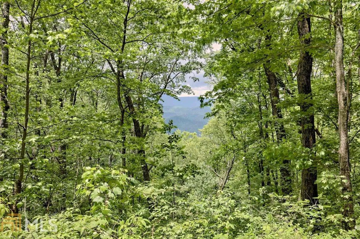 Athens, GA Real Estate | View 0 Deep Woods, LOT 9 | Listing