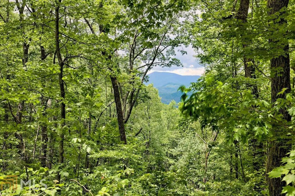Athens, GA Real Estate | View 0 Deep Woods, LOT 9 | Listing