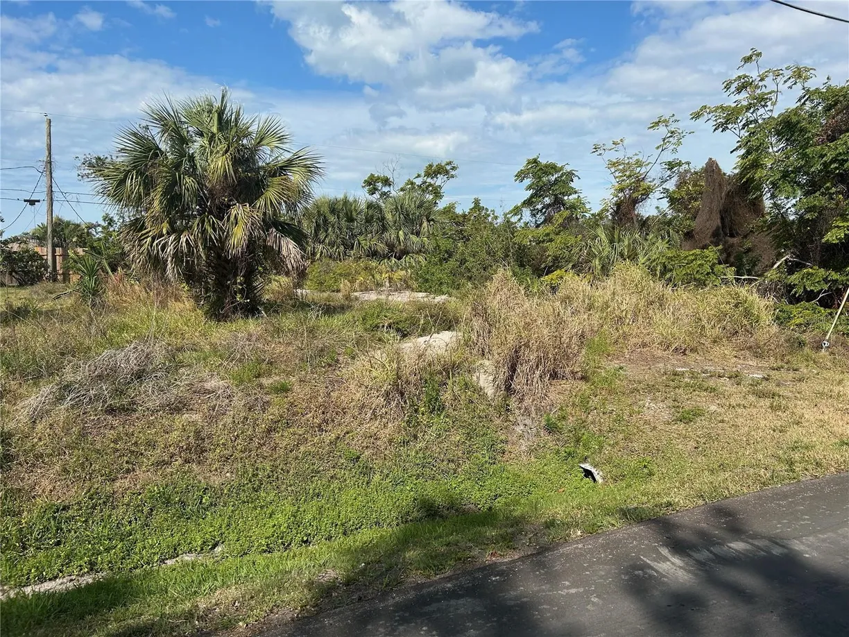 Sarasota/St. Petersburg Real Estate | View OSPREY ROAD