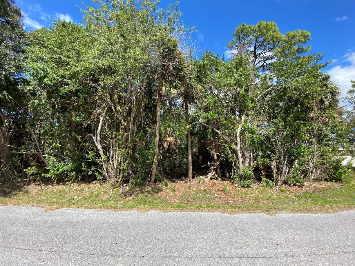 Sarasota/St. Petersburg Real Estate | View 