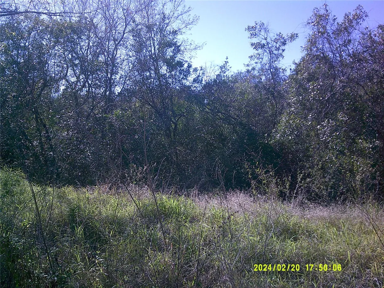 Central Florida Real Estate | View BOGGY MARSH ROAD