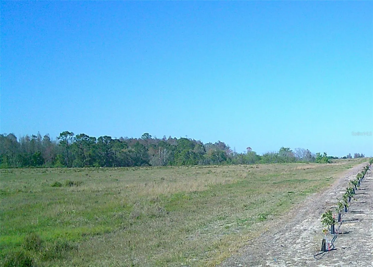 Central Florida Real Estate | View BOGGY MARSH ROAD | Listing