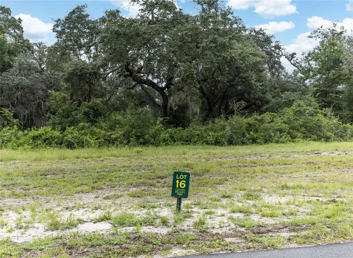 Central Florida Real Estate | View 1411 OXFORD PRESERVE TR
