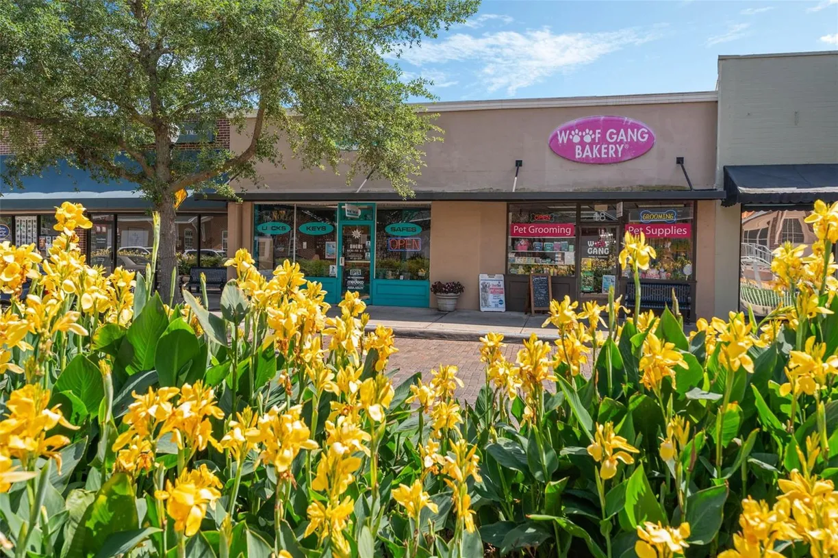Central Florida Real Estate | View 18 & 20 E PLANT STREET | Listing