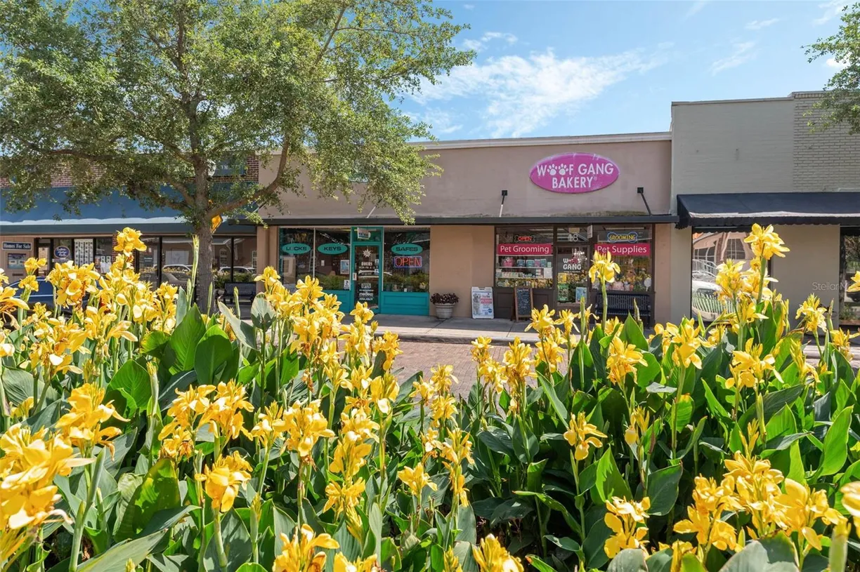 Central Florida Real Estate | View 18 & 20 E PLANT STREET
