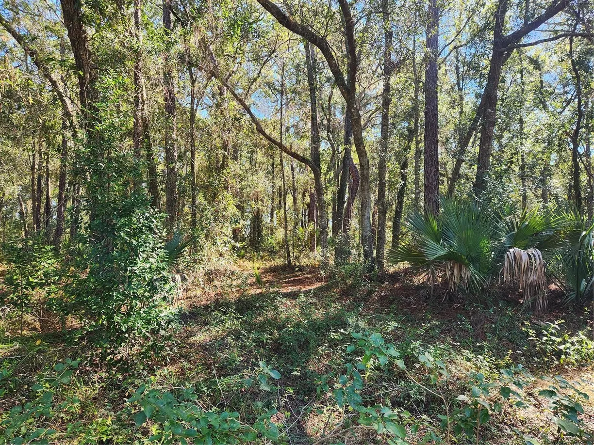 Central Florida Real Estate | View MARKHAM WOODS ROAD | Listing
