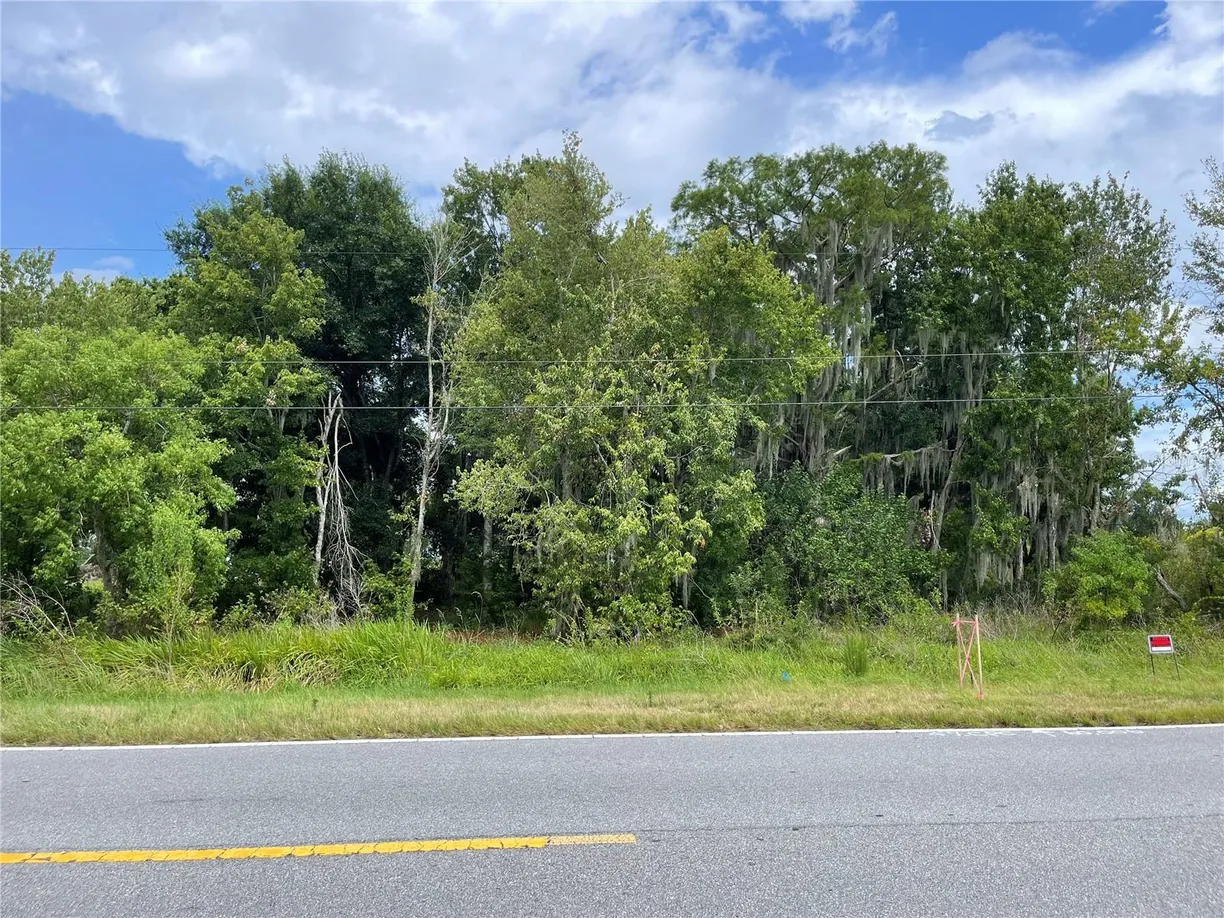 Central Florida Real Estate | View LAKE SHORE BOULEVARD