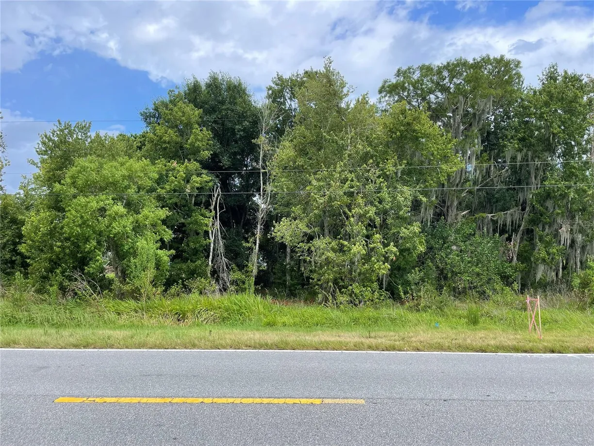 Central Florida Real Estate | View LAKE SHORE BOULEVARD | Listing