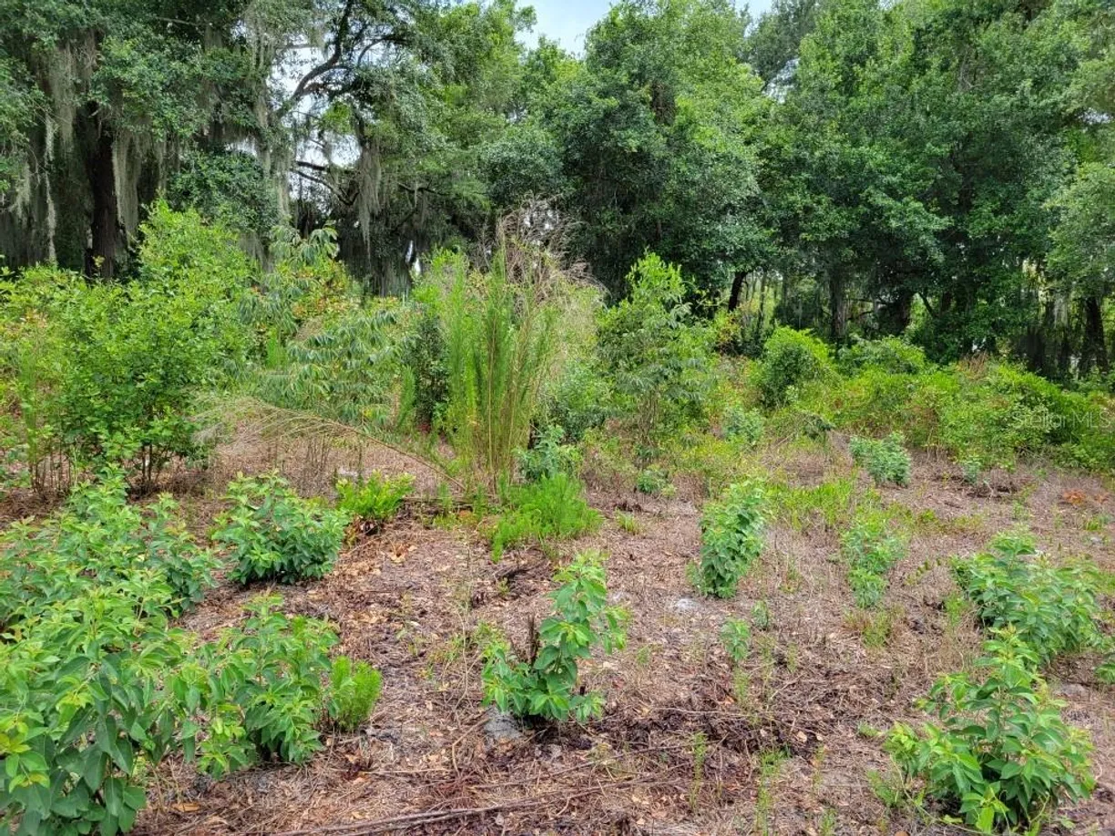 Central Florida Real Estate | View LAKE SHORE BOULEVARD | Listing