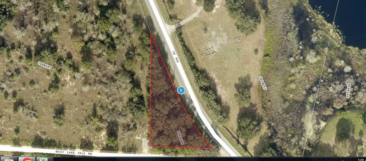 Central Florida Real Estate | View CR-450
