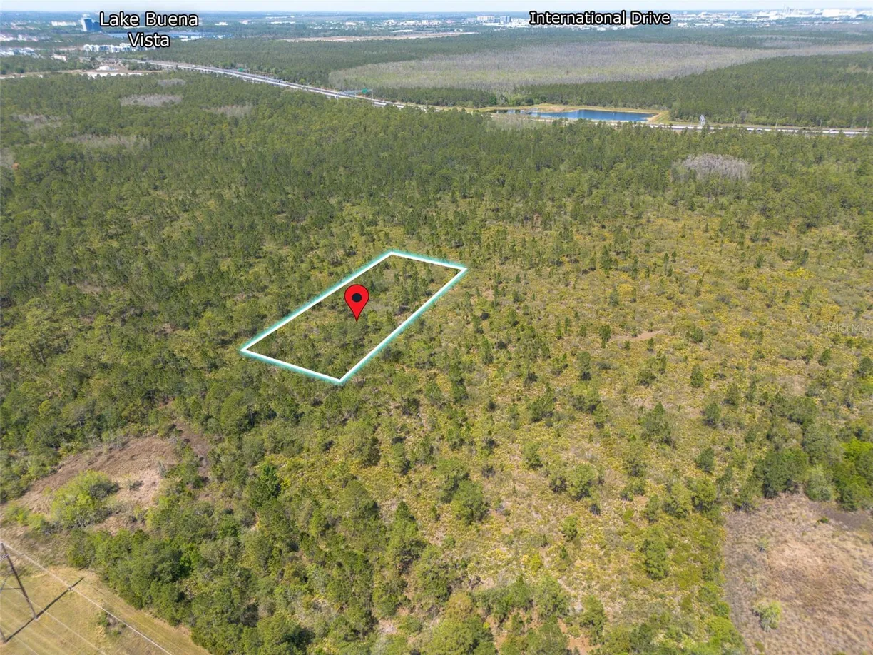 Central Florida Real Estate | View SR-535 | Listing