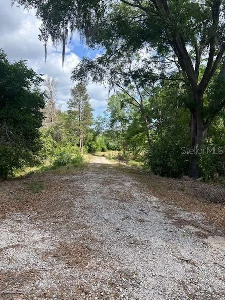 Central Florida Real Estate | View LAKESIDE DRIVE