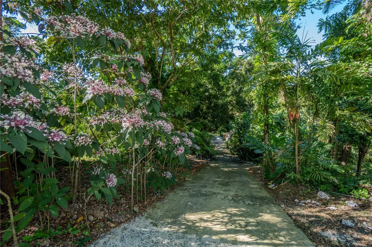 Puerto Rico Real Estate | View 1 BARRIO JIMENEZ | Listing