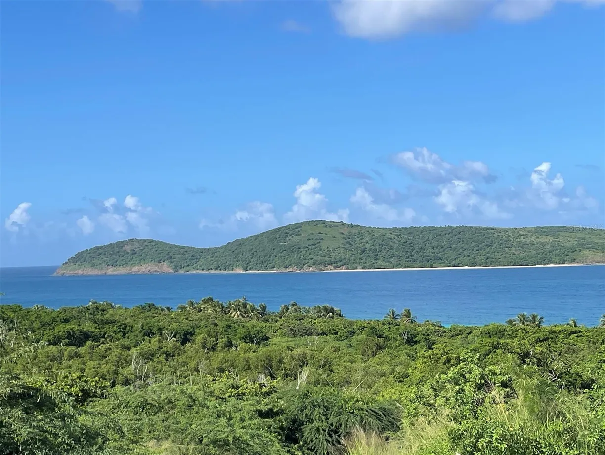 Puerto Rico Real Estate | View ZONI BEACH ESTATES CALLE B, FRAILES ROAD | Listing
