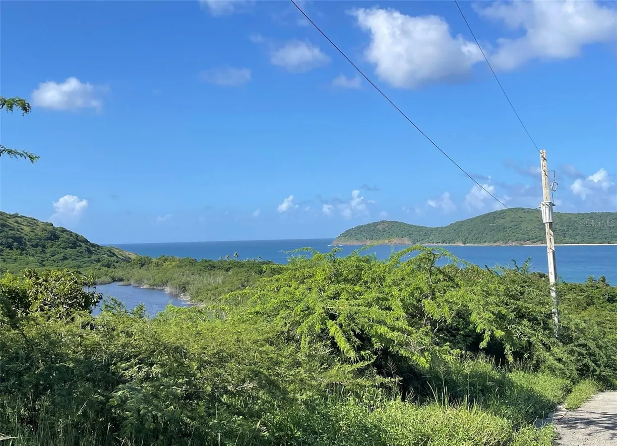Puerto Rico Real Estate | View ZONI BEACH ESTATES CALLE B, FRAILES ROAD | Listing