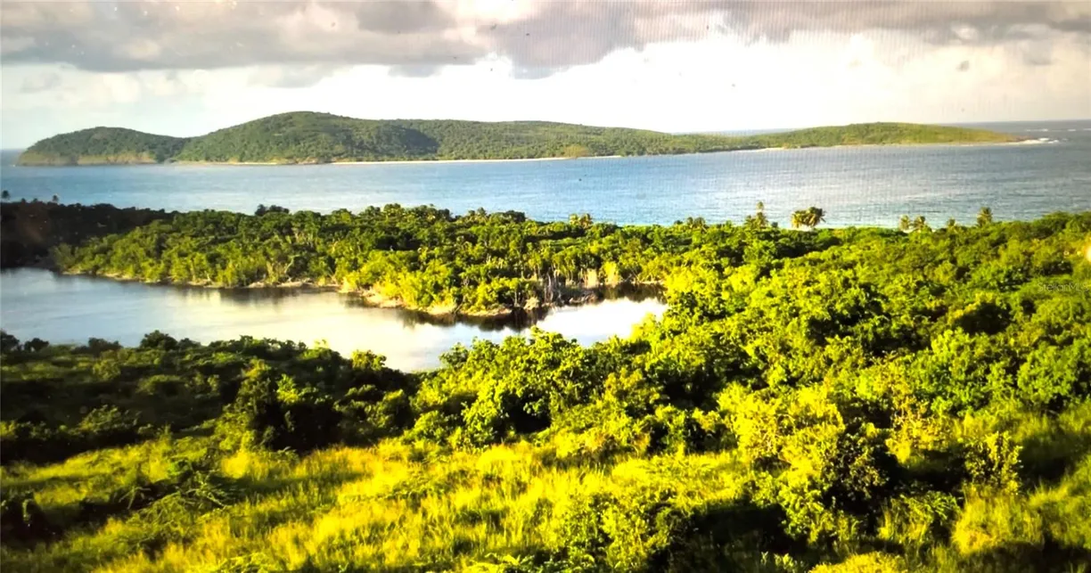 Puerto Rico Real Estate | View ZONI BEACH ESTATES CALLE B, FRAILES ROAD